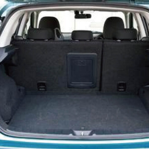 Private car trunk and wall covering